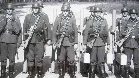 二战中瑞士和瑞典是靠什么中立的,二战时瑞士为什么没有被德国占领