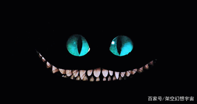 你不知道的猫咪事情,你不知道的猫咪睡姿大揭秘