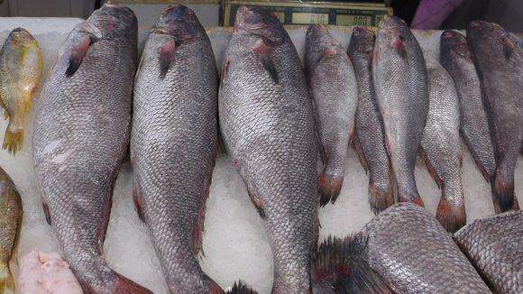 东海海鲜美食大全,家乡特色海鲜美食