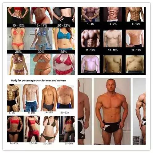 最好的体脂秤怎么看,判断胖瘦的技巧