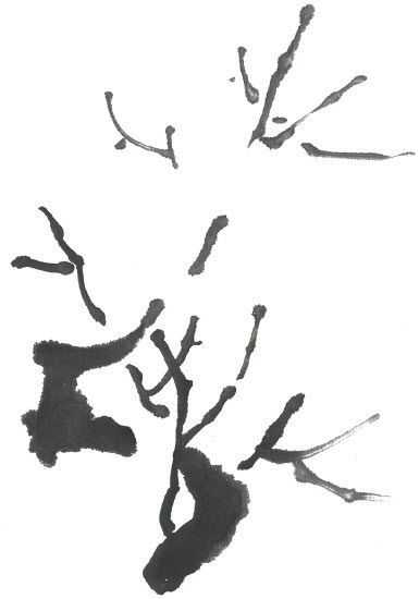 零基础梅花花朵入门画法,零基础学国画梅花入门步骤