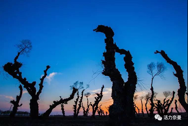 45万奈曼人的名片,太漂亮了!除了中华麦饭石你还知多少?