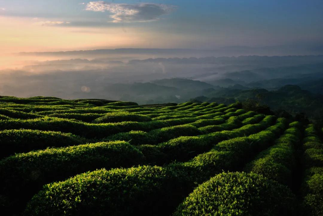 雅安这几天发生的车祸,这就是雅安原版
