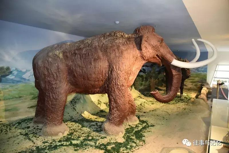 通辽霍林郭勒市区,通辽霍林郭勒一日游