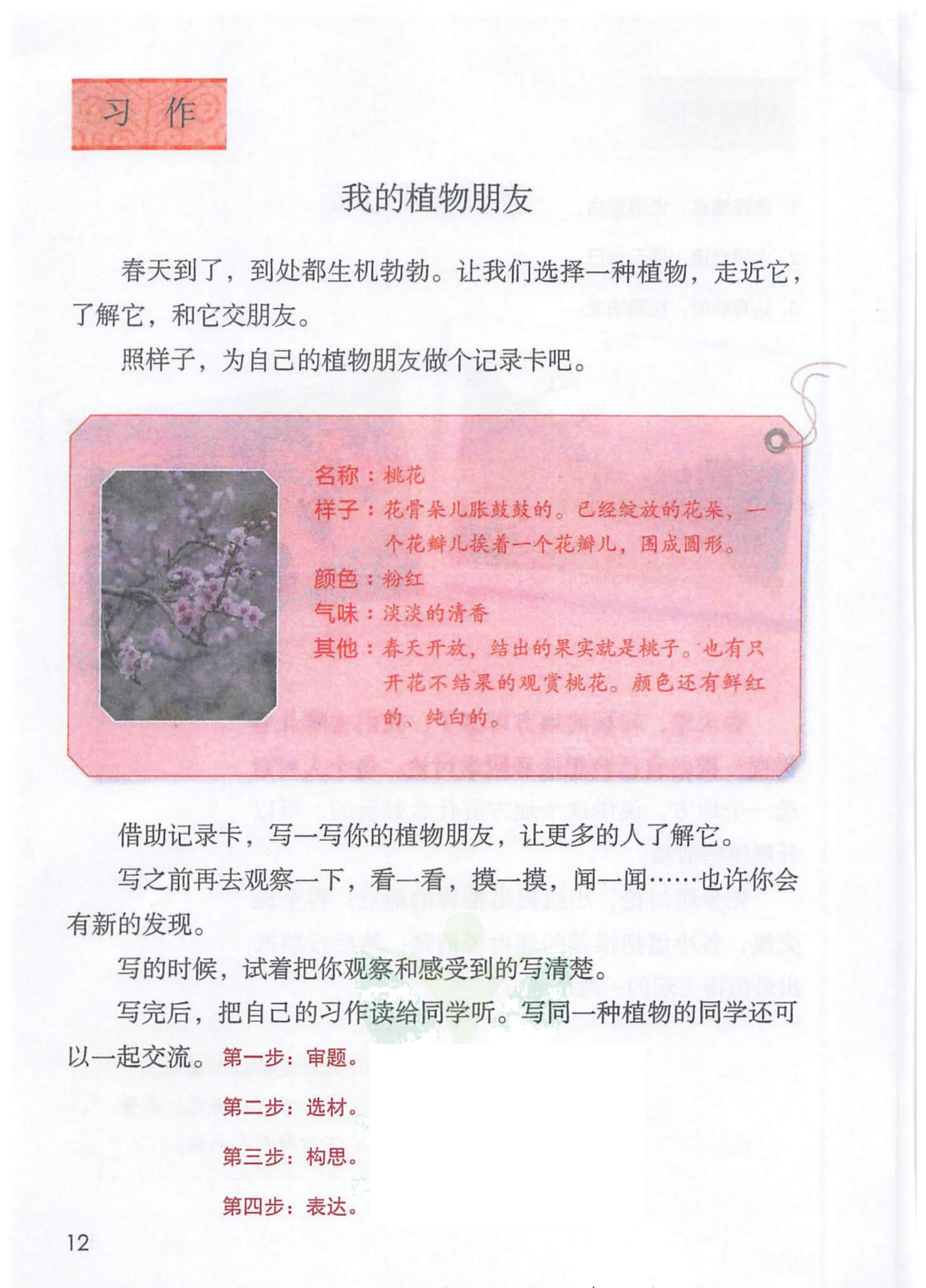 三年级语文下人教版第一单元笔记,三年级语文下册笔记完整版三单元