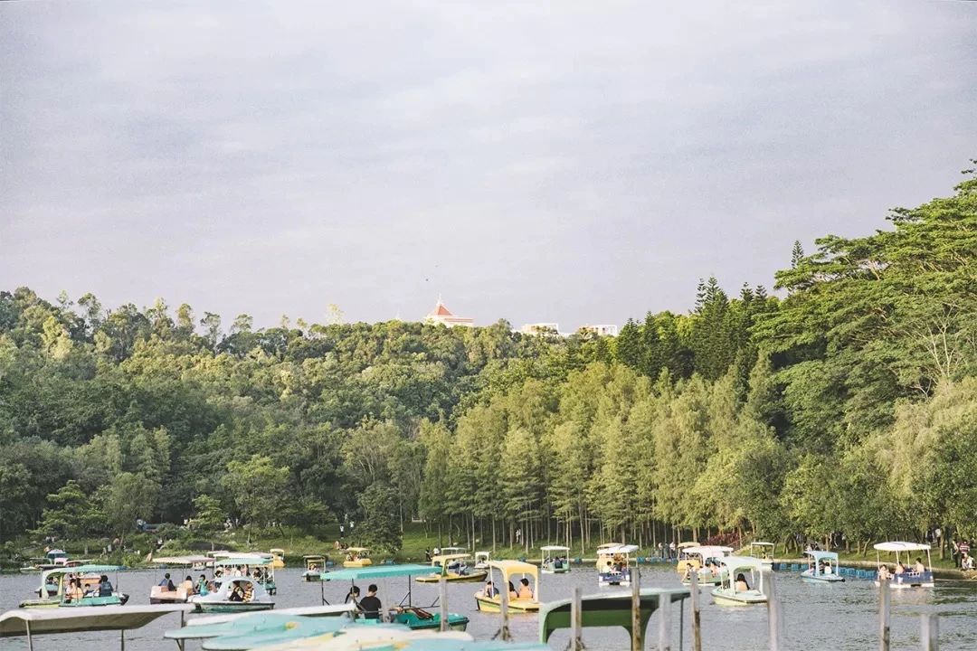 去深圳免费游玩的10个地方,深圳免费游玩景点推荐