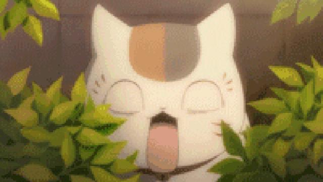 猫咪得了抑郁症后该怎么治,猫咪得了抑郁症该怎么治疗