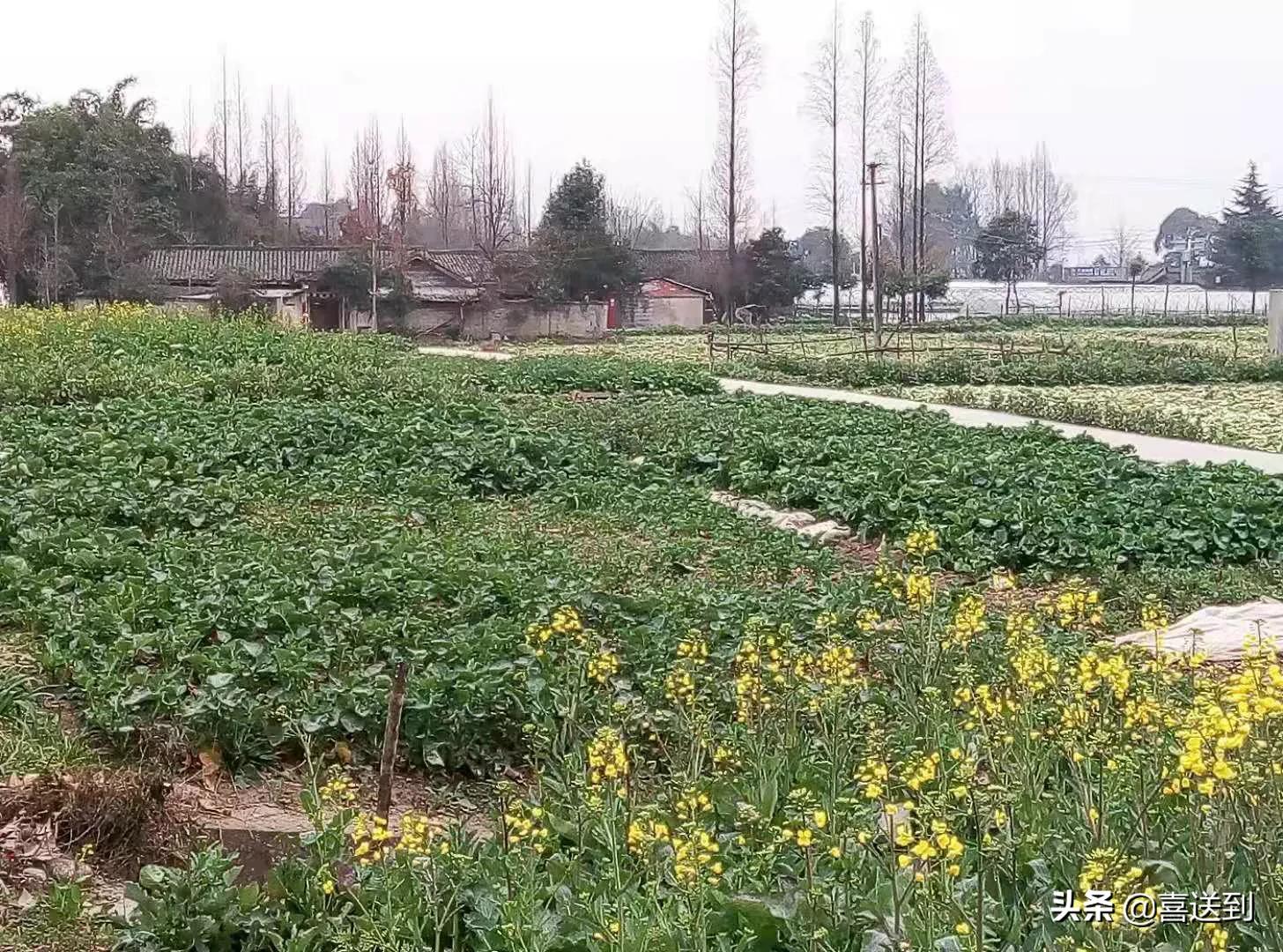 夫妻之间性格不合,夫妻之间性格不合应该怎么办