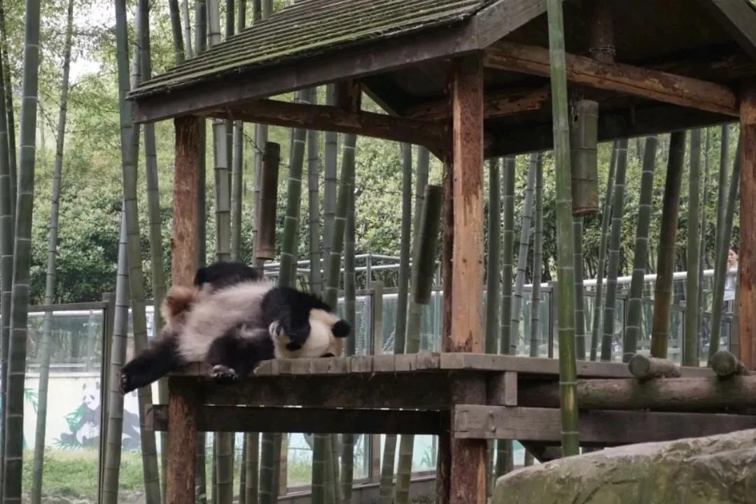 江浙沪天然温泉度假村排名榜,江浙沪温泉最好的地方排名