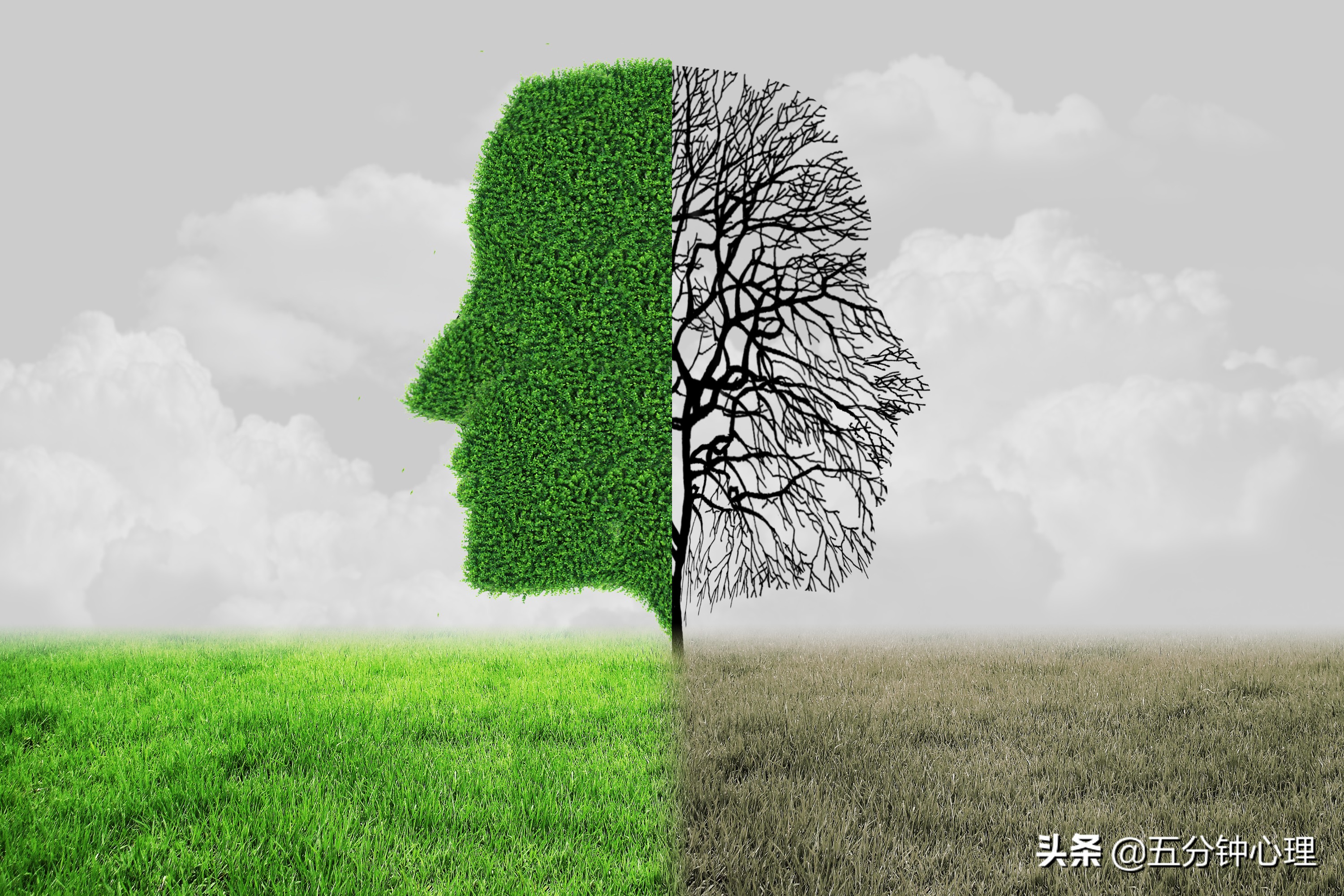 心理学动物型人格,16种人格心理学