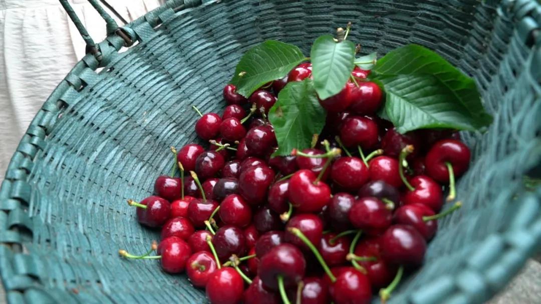 雅安旅行攻略亲子游,雅安市旅行攻略自由行路线