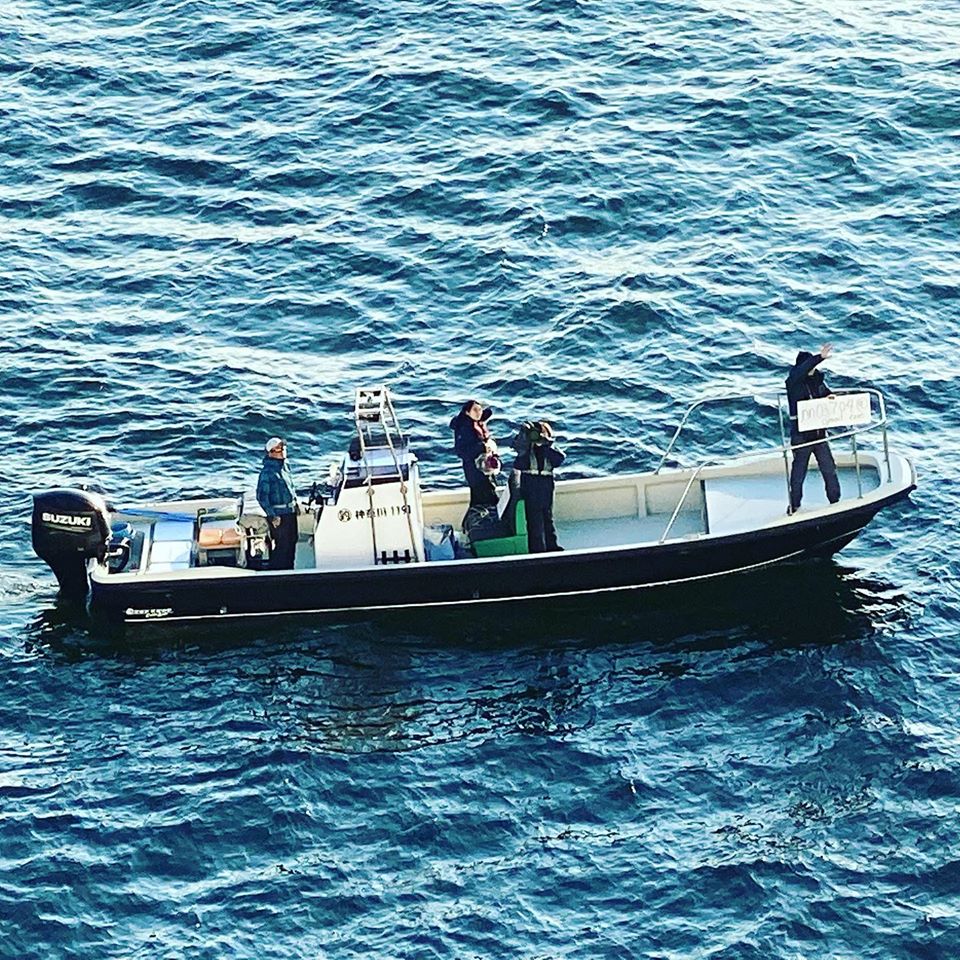 钻石邮轮公主号最新消息,钻石公主号邮轮管辖问题