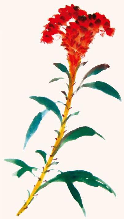 天牛写意画法步骤图,纯干货3分钟学画写意天牛和瓢虫