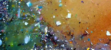 渔业危机纪录片,渔业阴谋纪录片预告