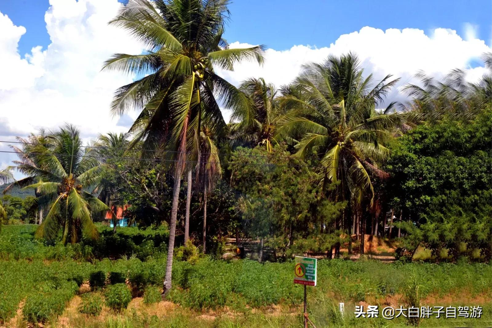 泰国风情之旅完整版小说,泰国风情十日游