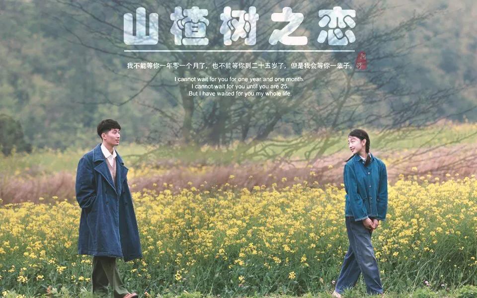 16岁出道荣获影后,周冬雨一个谋女郎的成长之路