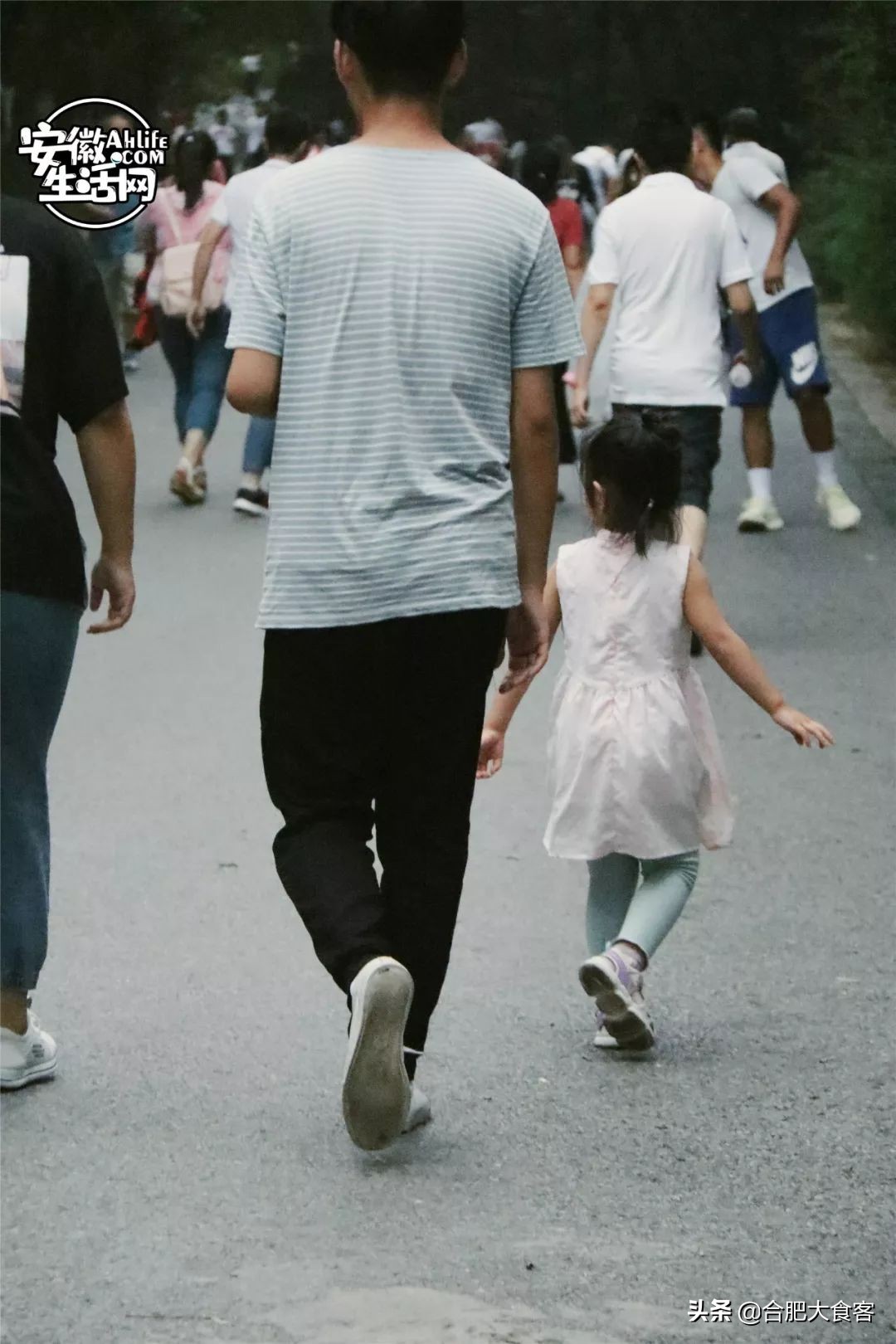 合肥大蜀山的秘密,合肥大蜀山的由来