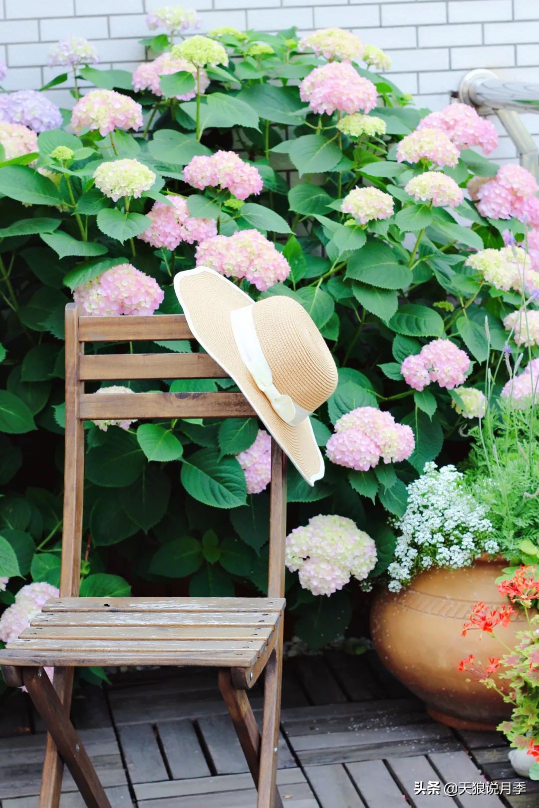 如何打造四季开花的花园,如何打造四季都有花的花园