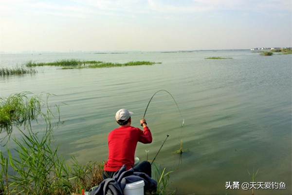 野钓怎样才能钓到更多鱼,常用这4大套路夏季不愁钓不到鱼