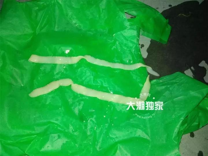 大妈菜市场买到一条奇怪的鱼,大妈菜市场买到一条奇怪的鱼后续