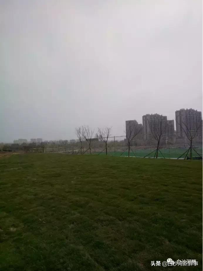 青岛城阳白沙河足球公园,白沙湾足球基地免费开放吗