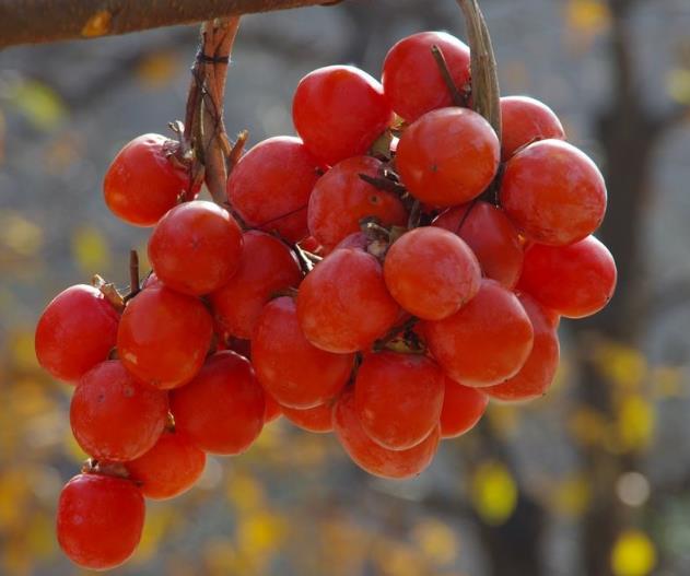 翻脸不认人的人最可怕,人生我们要学会翻脸不认人