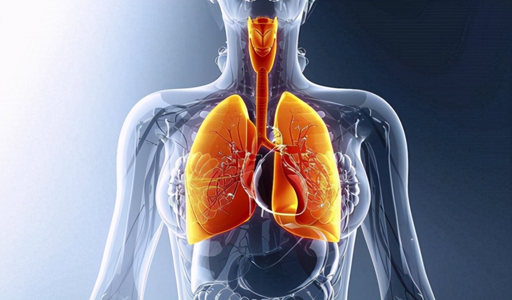 新风系统室外进风口如何清理灰尘,人体吸入灰尘肺会排出吗