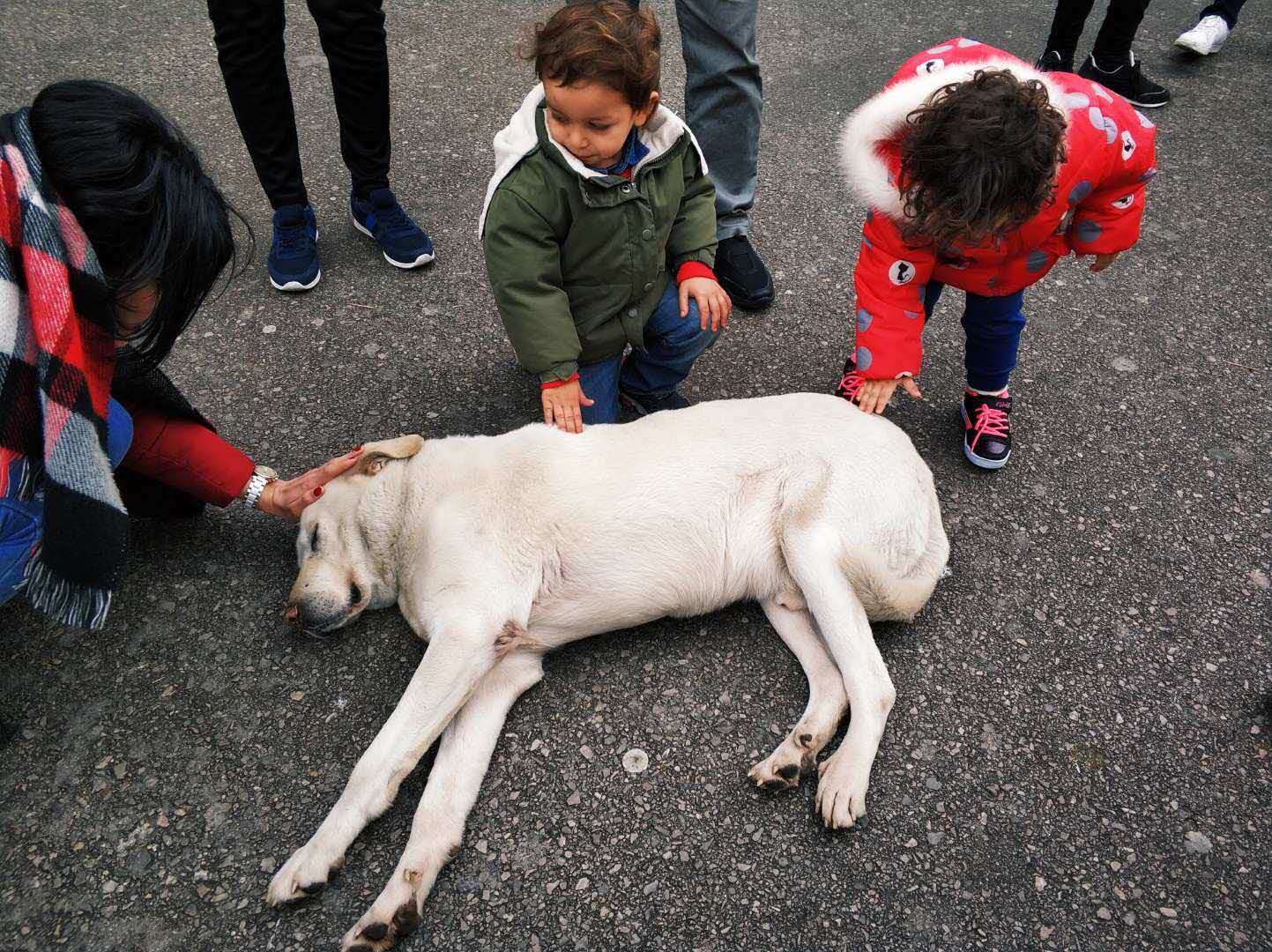 打开电脑我在办公室,关上电脑我在贝尔格莱德