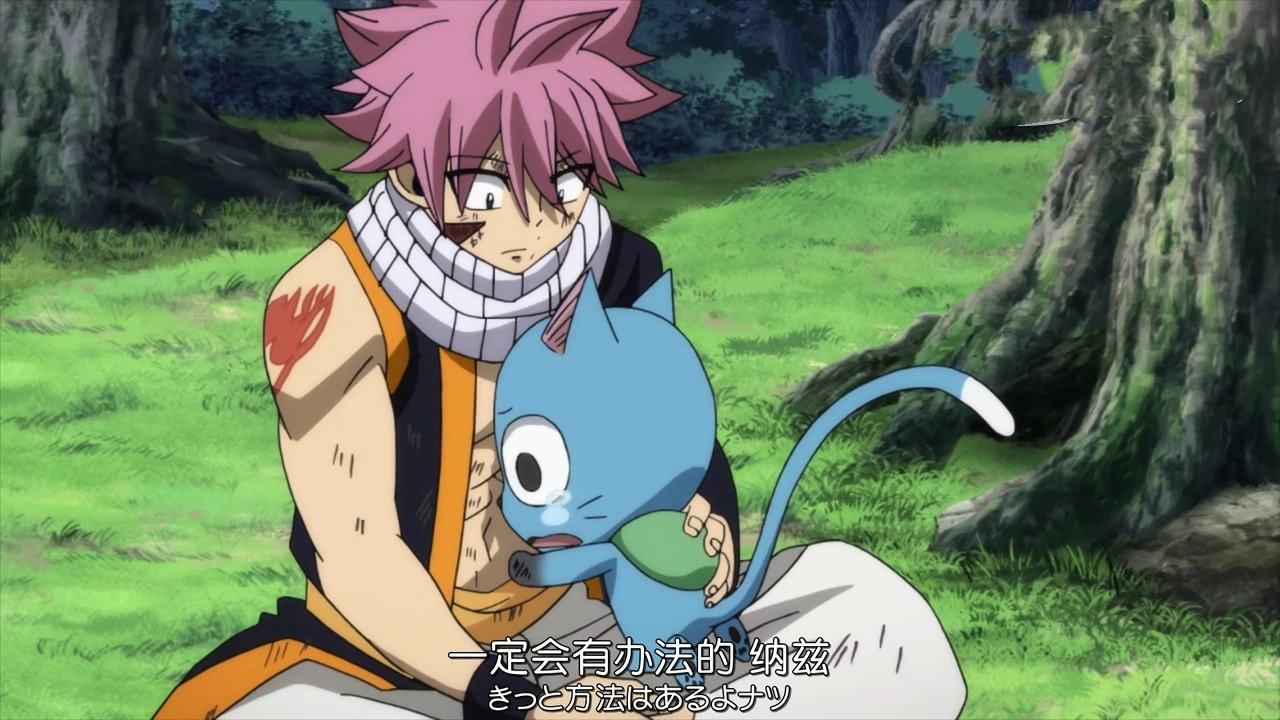 妖精的尾巴灭龙魔导士有多少人,妖尾灭龙魔导士为什么需要猫