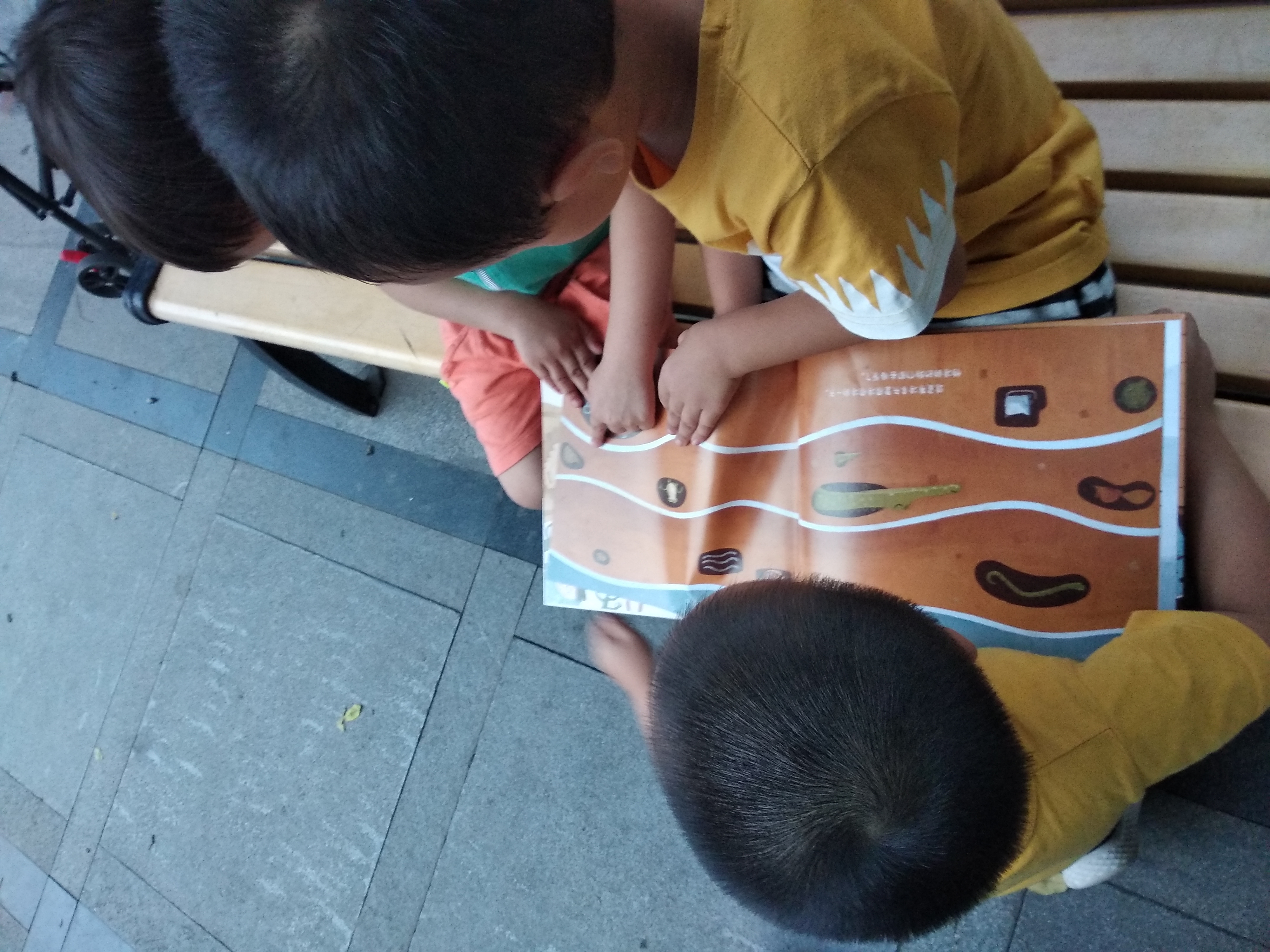 睡不着的小棕熊,再温顺的小绵羊也有脾气