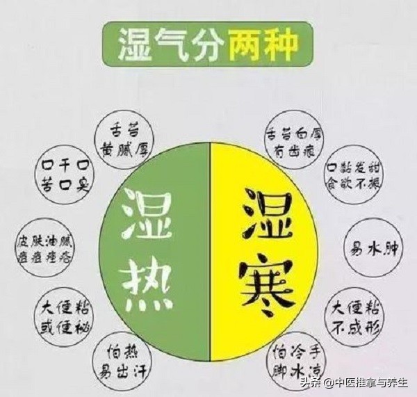 解决湿气重吃什么食物,体内湿气重除湿的好方法
