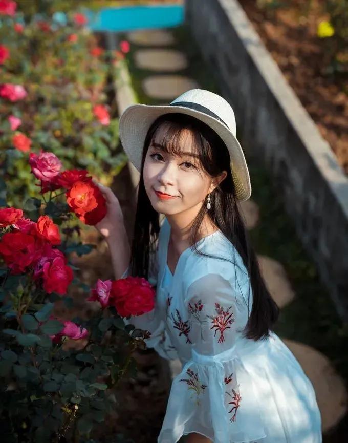 南沙葵园花海景区,广州南沙万顷葵园最佳旅游时间