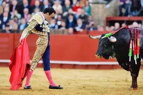 西班牙自驾游最新视频,西班牙旅游攻略14天自由行