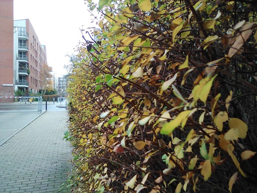 诺基亚800tough国行评测,诺基亚800深度评测