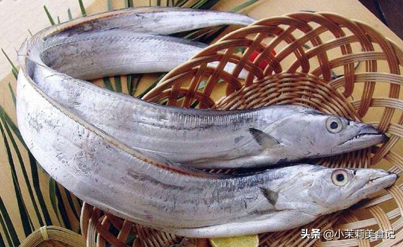 冬季吃鱼吃什么鱼最好,冬天多吃鱼应该少吃什么鱼