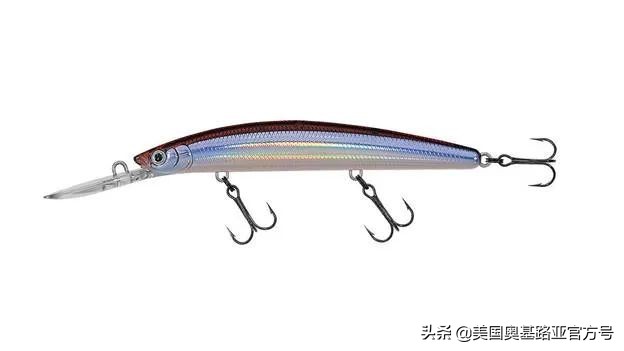 全国各地渔具展,全国渔具展2024