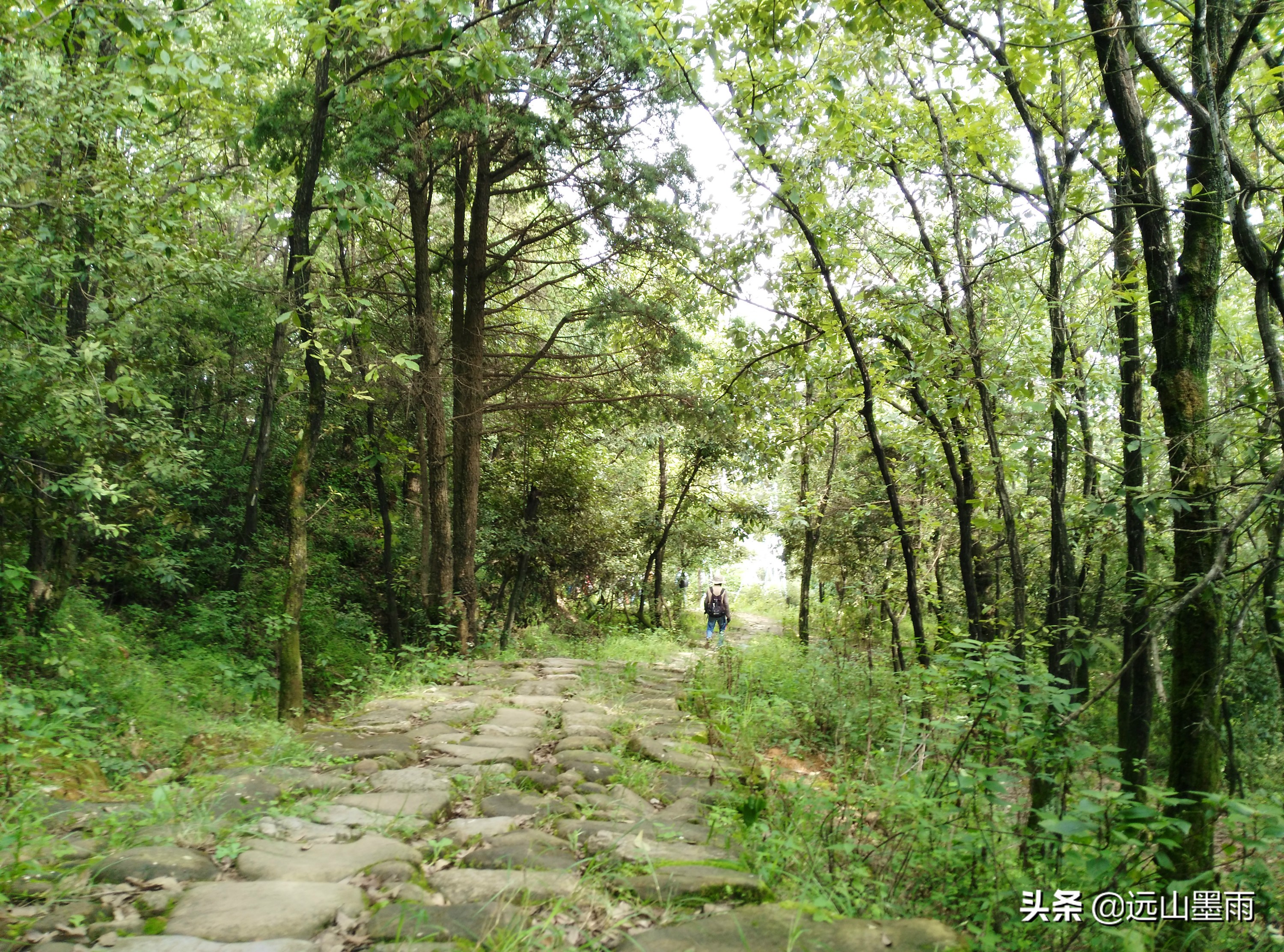 昆明陡坡村的风景非常独特,昆明可以爬山看夕阳的地方