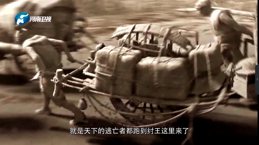 一星差评，河南卫视也「翻车」了？