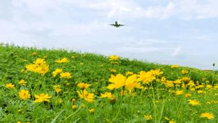 生活在成都幸福感满满,成都幸福指数高体现在哪方面