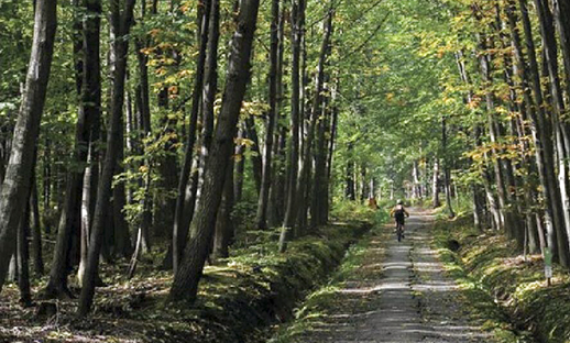 盘锦郊野公园位置,盘锦郊野公园