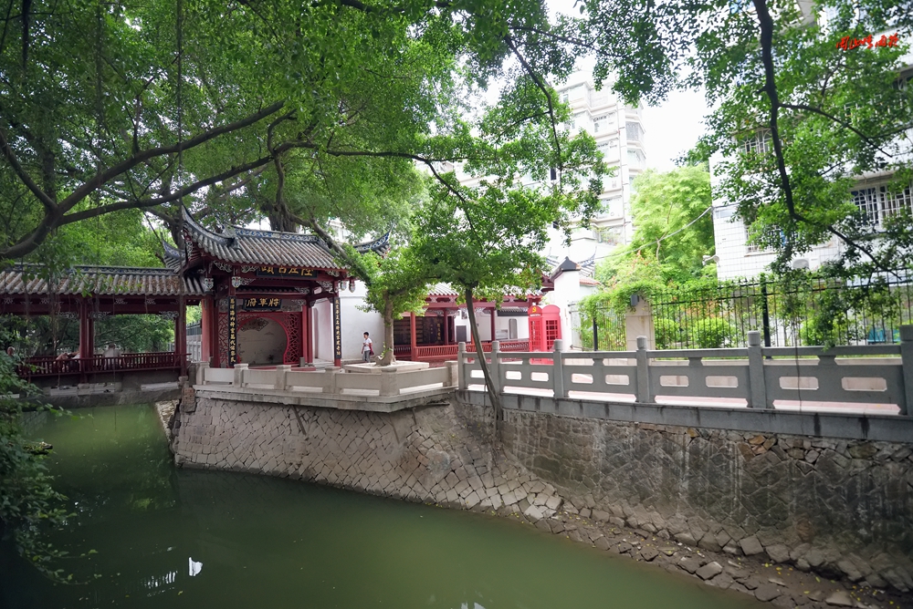 摄影就是记录流逝的时光,摄影捕捉生活的美好瞬间