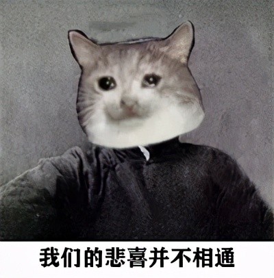 流泪猫猫头,流泪猫猫头抱小熊
