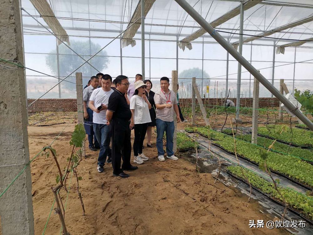 沁源县脱贫攻坚纪实,鄂托克前旗德善