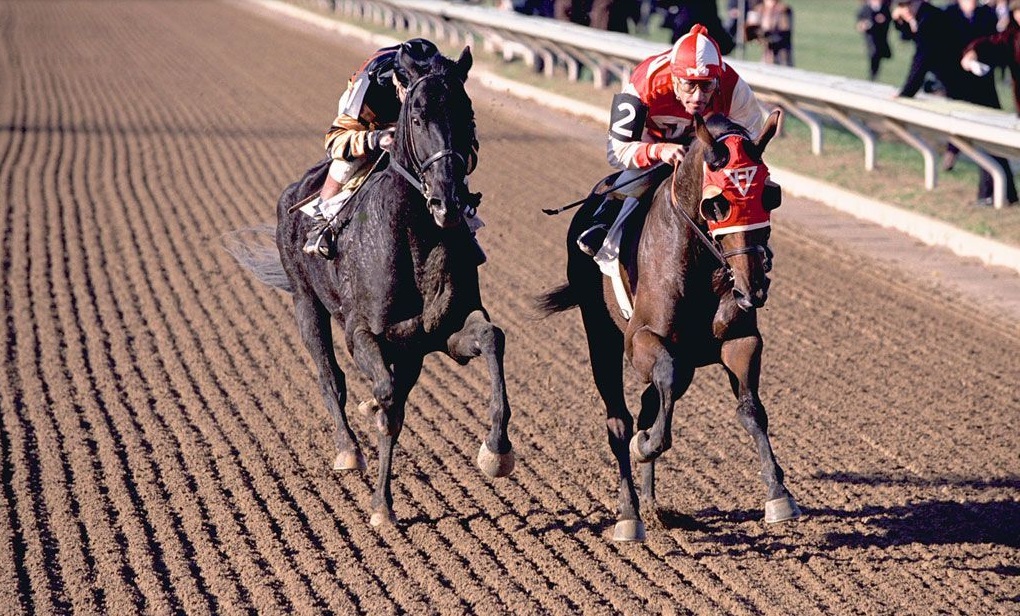 奥运题材电影,奥运榜前十最受欢迎的电影