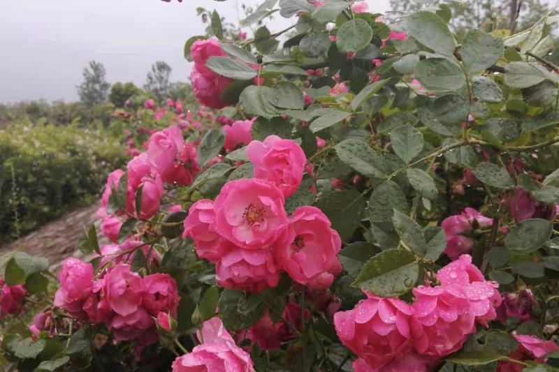 如何面对你讨厌的群体,面对讨厌的人怎么控制自己的情绪