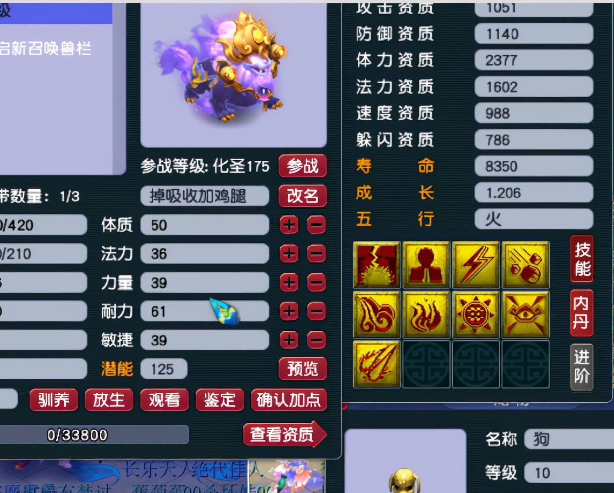 梦幻西游买储备金多的号,梦幻西游大量储备金的号