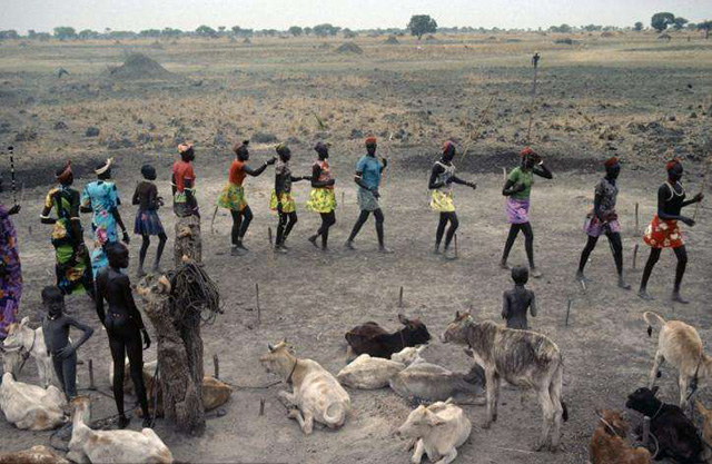 现实版的巨人族：人均身长超过1米8，结婚彩礼是5头公牛15头母牛