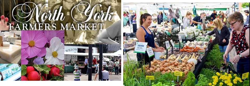 多伦多最有名的市场,在多伦多仓储式超市购物