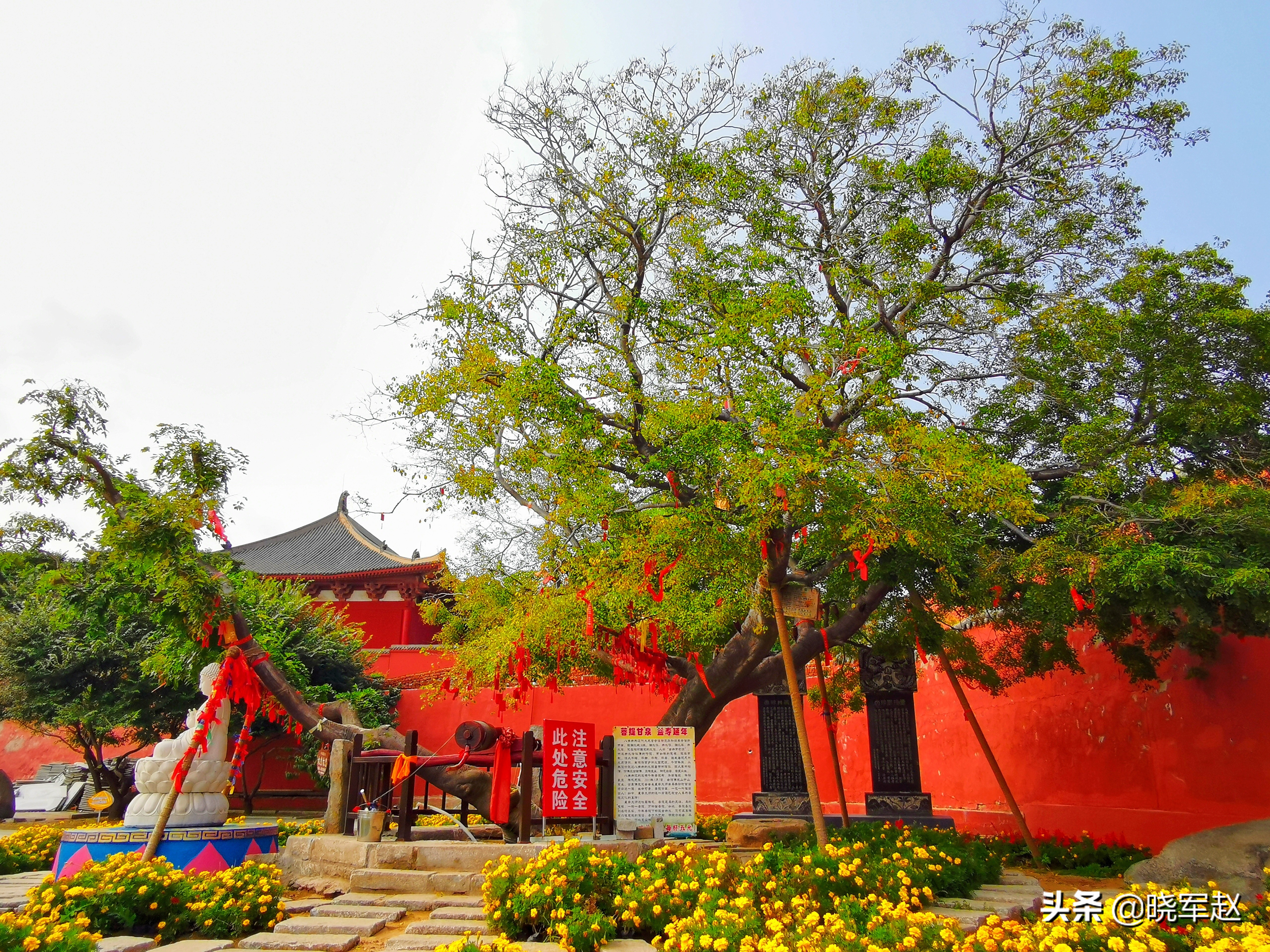 摄影：觉华岛掠影（二）