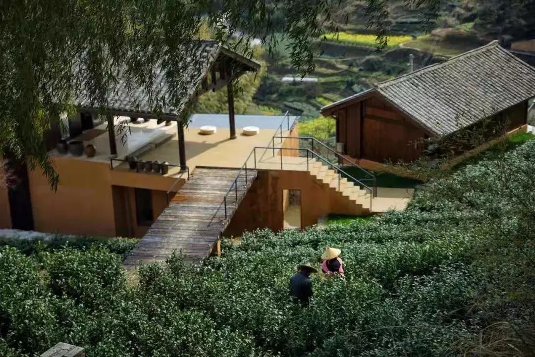 浙江最具有设计感的民宿,松阳全球十大必睡民宿